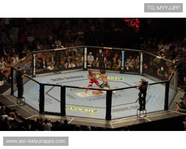 格斗UFC：超级对决燃爆擂台，精彩不断！，格斗比赛ufc